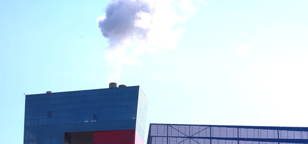 图片 12.png 图片 12.png