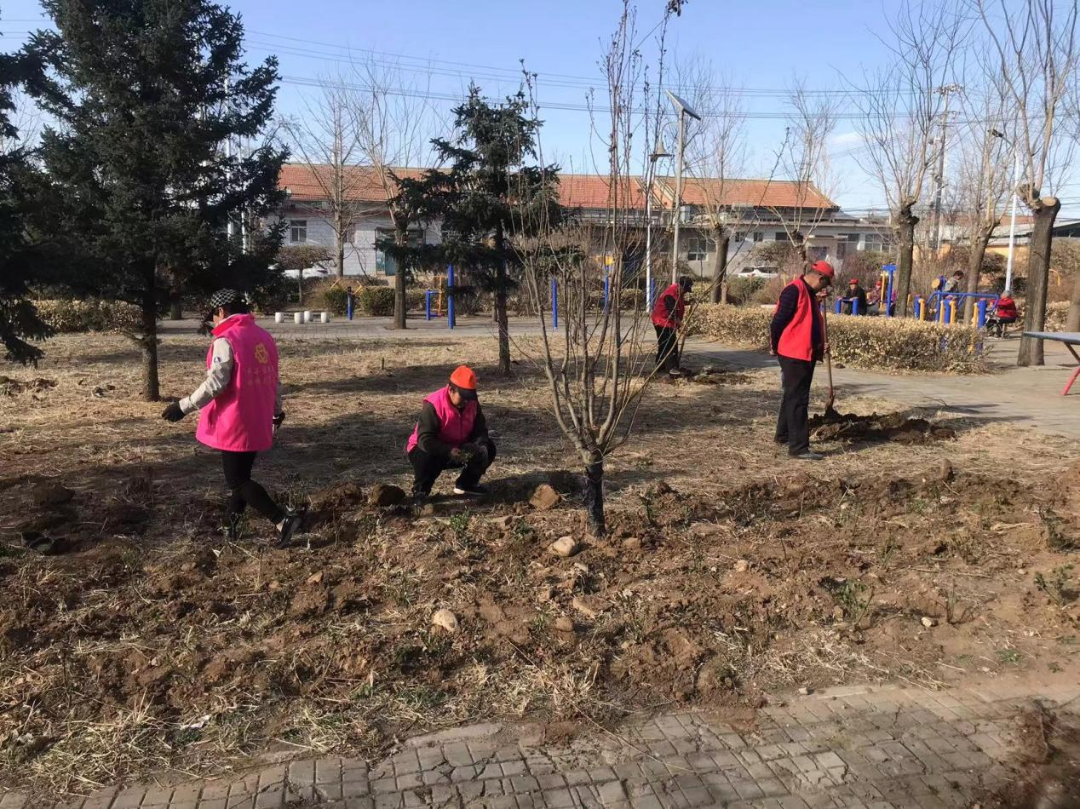 平谷区夏各庄镇持续开展城乡环境集中整治二